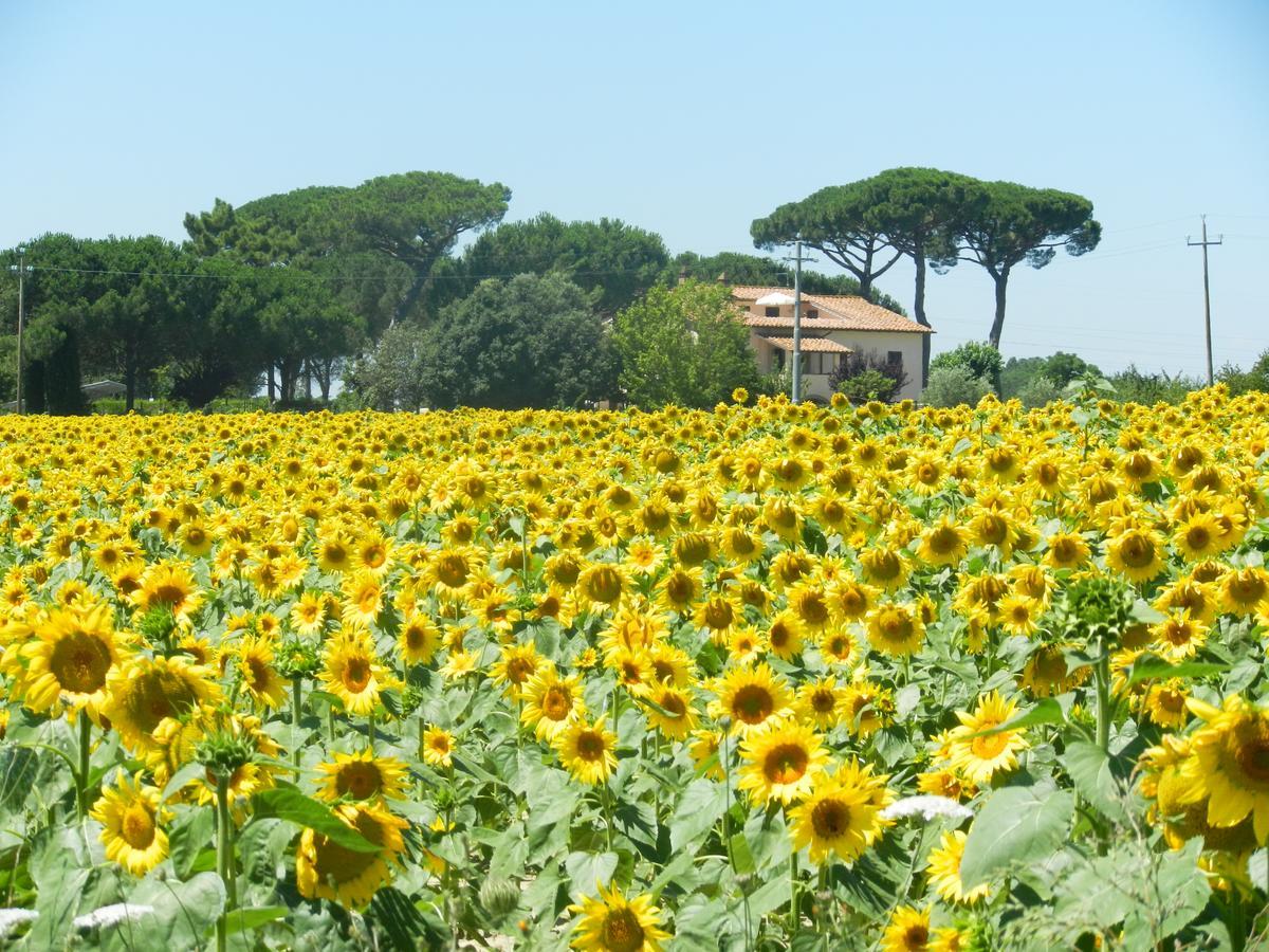 Boschetto Del Lago Castiglione del Lago Exterior photo